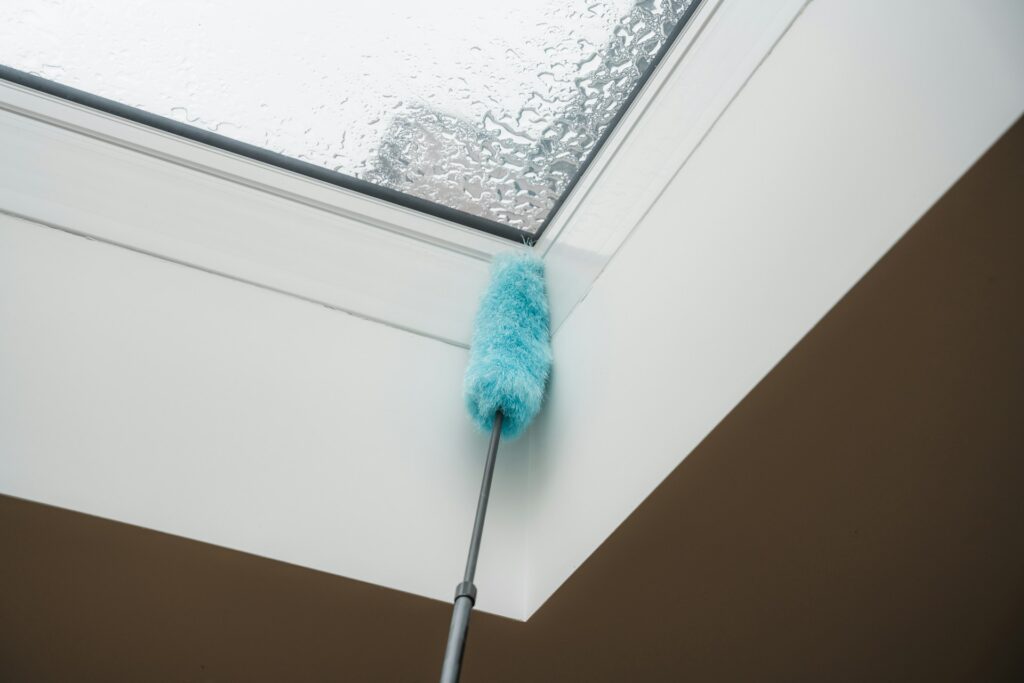 skylight cleaning
