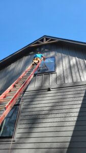 window cleaning