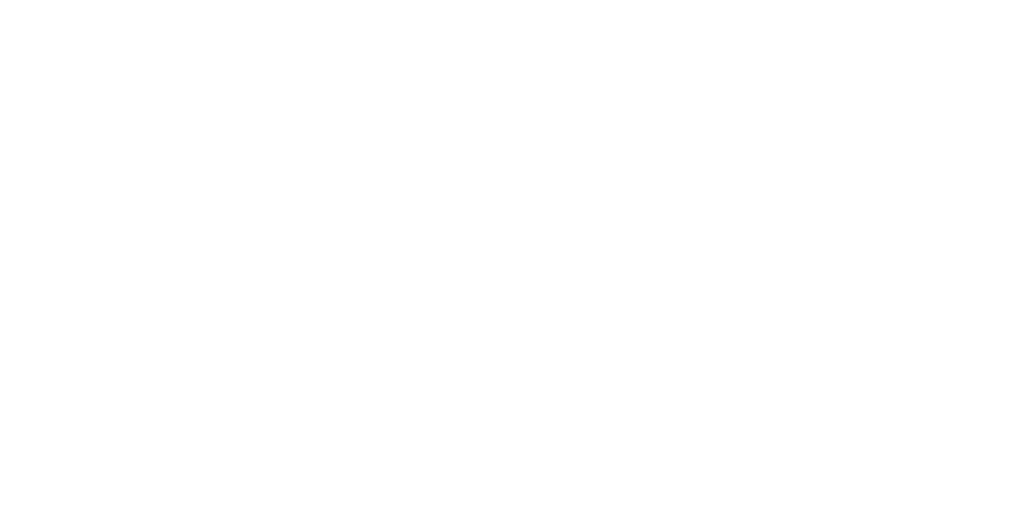 Clear Choice Christmas Lighting logo